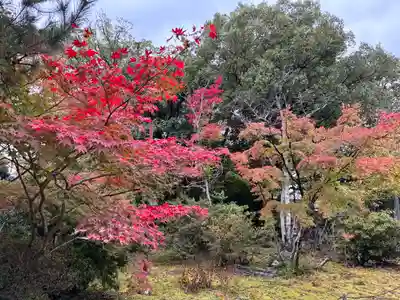 法界寺(日野薬師)の自然