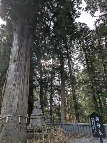 戸隠神社中社(長野県)