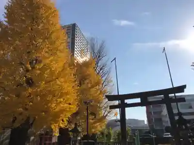 女躰大神の鳥居