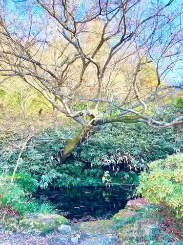 薬王寺(茨城県)