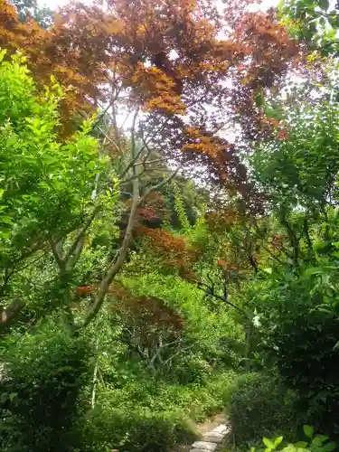 瑞泉寺の庭園