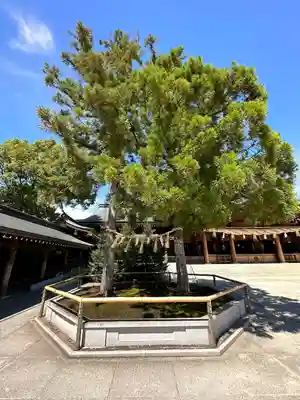 寒川神社(神奈川県)