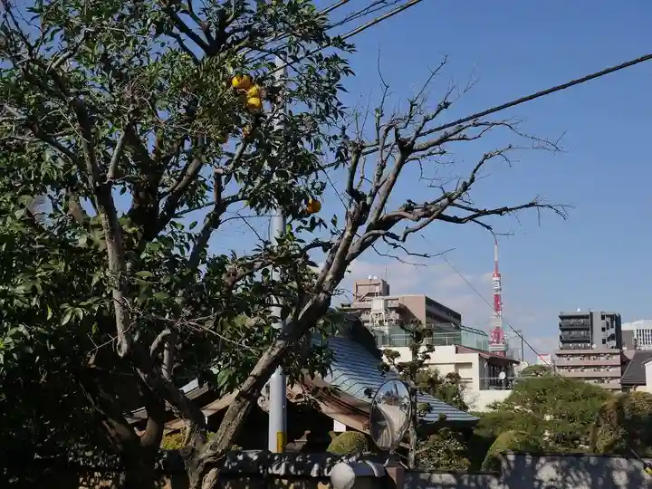 玉鳳寺のその他建物