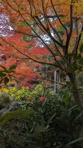 長岡天満宮(京都府)