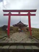 箱根元宮の鳥居