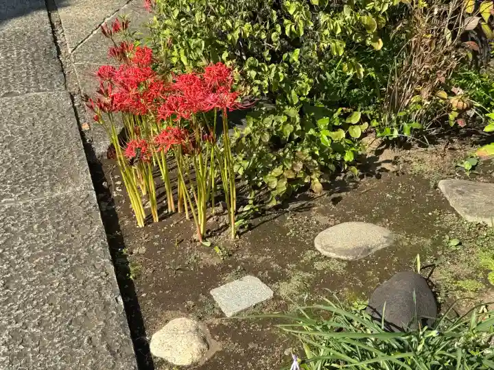 一乗寺(東京都)