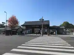 東寺（教王護国寺）(京都府)