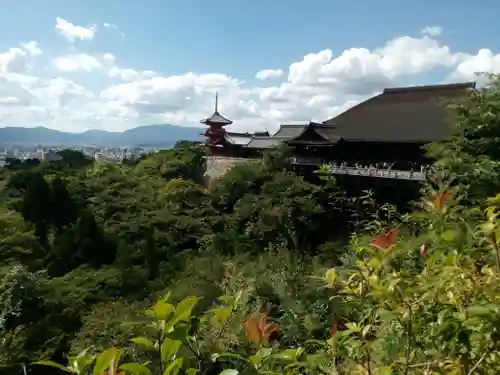 清水寺の景色