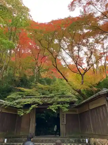光明寺瑠璃光院の山門・神門