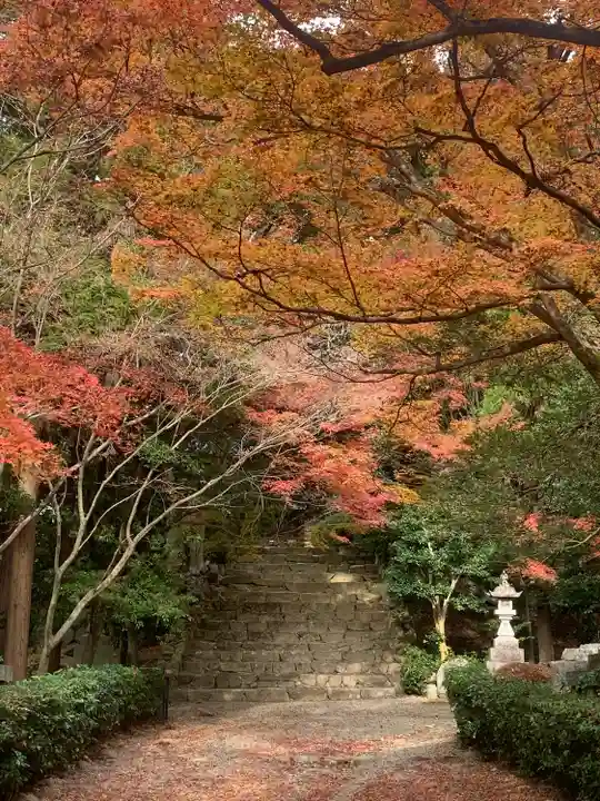 胡宮神社(敏満寺史跡)(滋賀県)