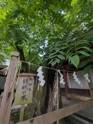 笠間稲荷神社(茨城県)