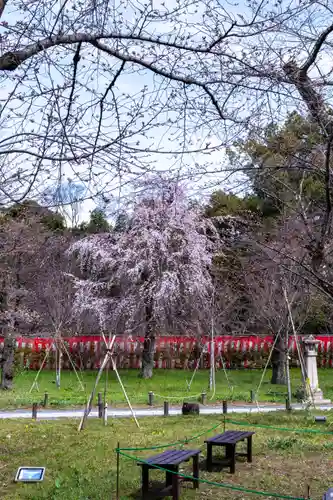 平野神社(京都府)