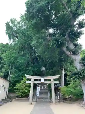 田間神社の鳥居