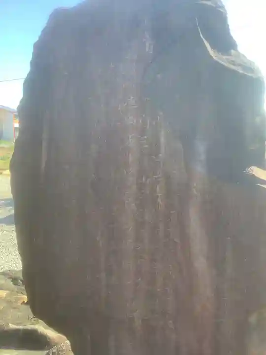 龍光院(愛知県)