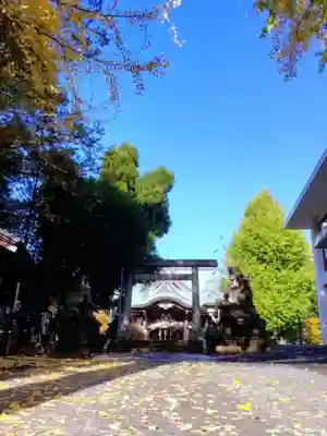 諏訪神社(東京都)
