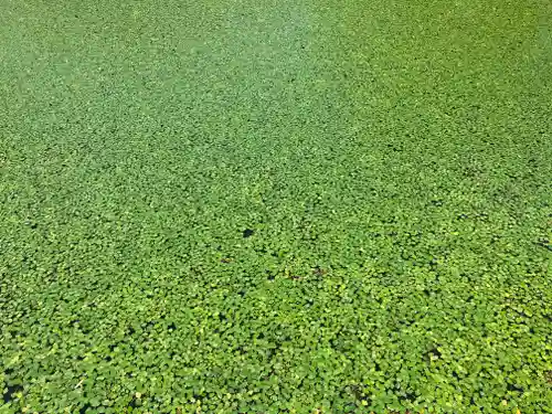 涼ケ岡八幡神社(福島県)