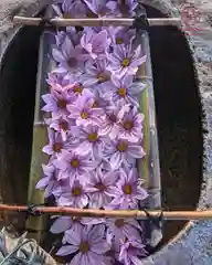 立志神社(滋賀県)