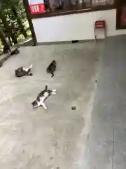 玉野御嶽神社の動物