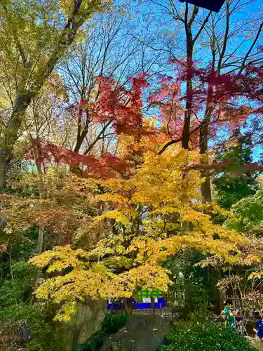 大國魂神社(東京都)