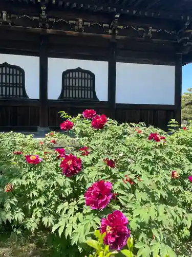 建仁寺（建仁禅寺）のその他建物