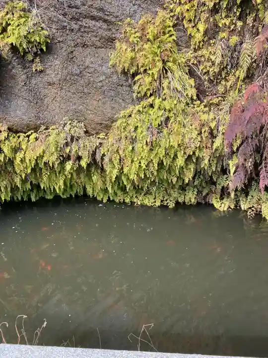 銭洗弁財天宇賀福神社(神奈川県)