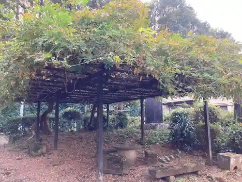 久伊豆神社の自然