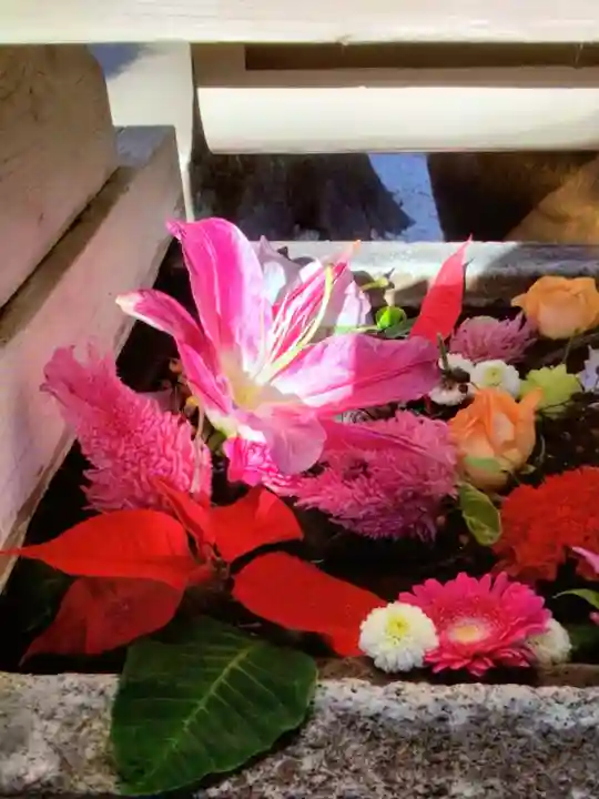 鳩森八幡神社の手水舎