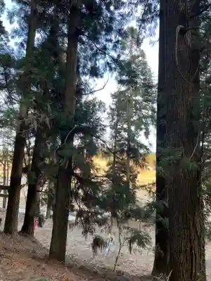 大宮温泉神社(栃木県)