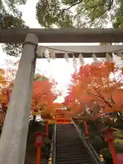 穴八幡宮の建物その他