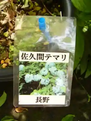 光則寺(神奈川県)