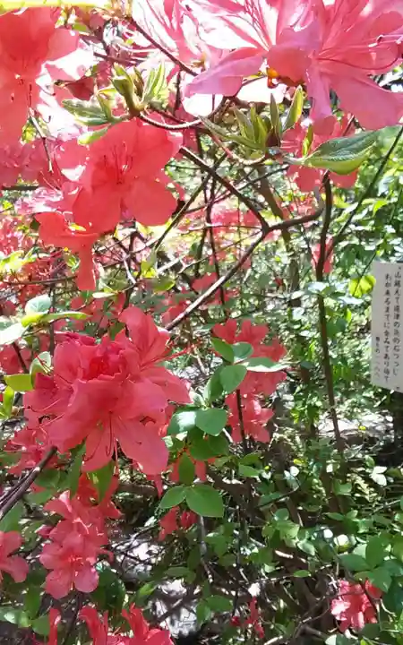 武蔵国分寺の自然