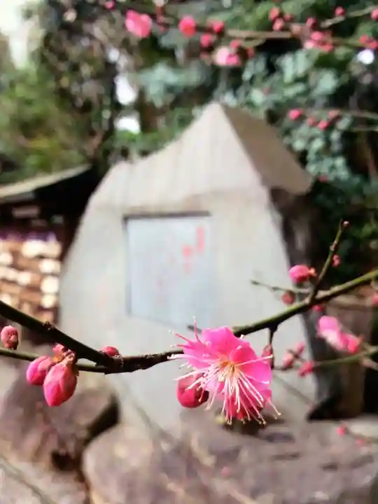 乃木神社(東京都)