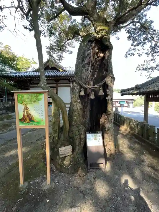 八幡竃門神社(大分県)