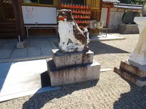 平野八幡神社の狛犬