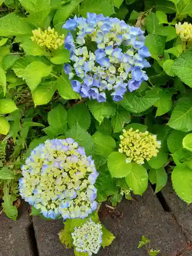 円満寺観音堂(岩手県)