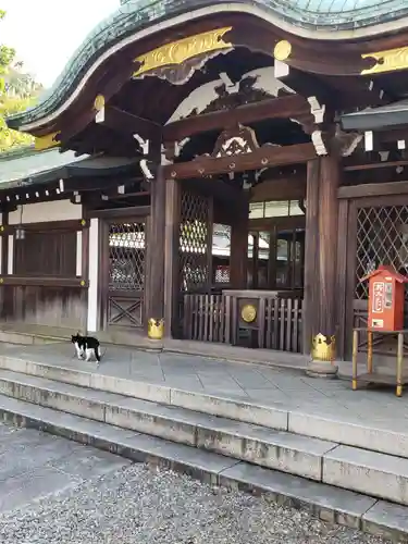 白金氷川神社の本殿・本堂