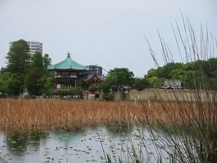 寛永寺不忍池弁天堂(東京都)