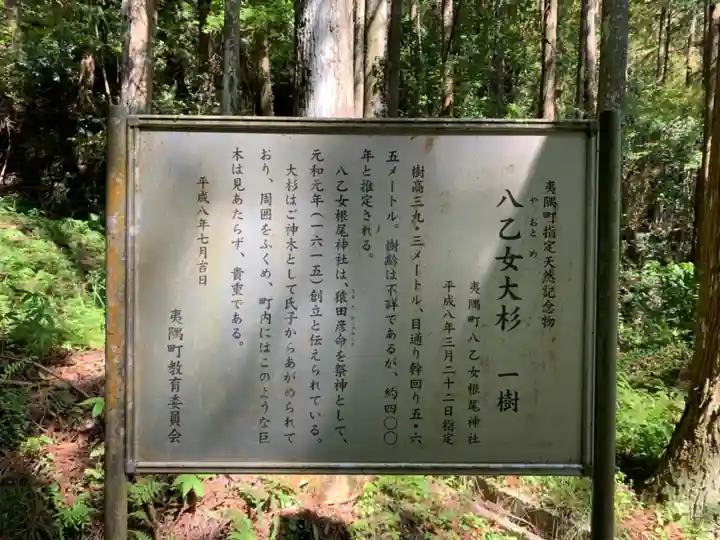 八乙女根尾神社の歴史