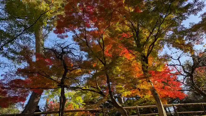 北野天満宮(京都府)