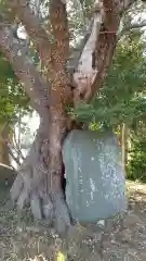 鹿島神社の自然