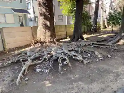 八雲氷川神社(東京都)