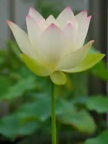 極楽山　浄土寺(北海道)