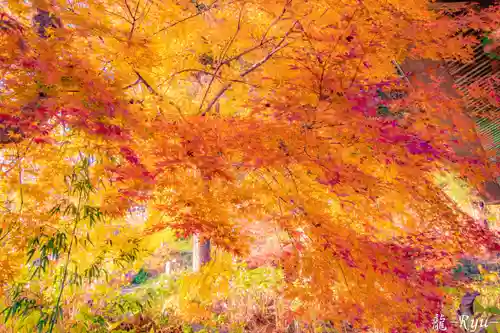 善光寺(山形県)