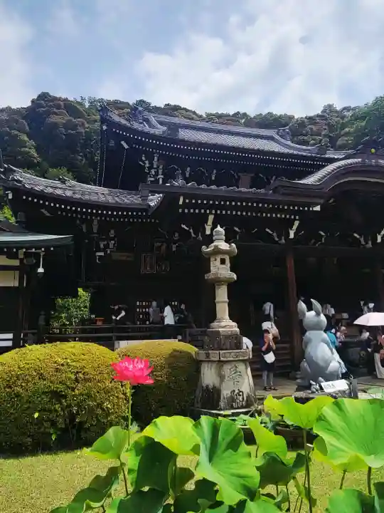 三室戸寺(京都府)