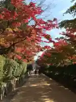 高野山金剛峯寺のその他建物