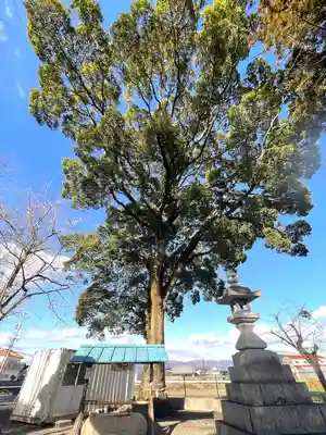 八幡神社(三重県)