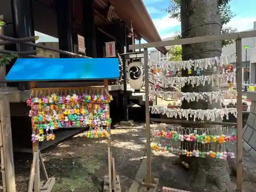 高円寺氷川神社のおみくじ