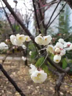 成子天神社(東京都)