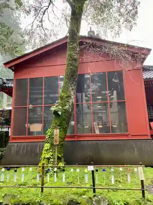 日光二荒山神社(栃木県)