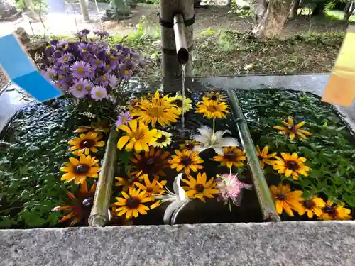 坂本八幡神社の手水